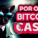 La verdad sobre Bitcoin Cash (BCH) – Parte 3